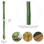Tuteur Tige Bambou Plastifié Ø 8 - 10 mm x 120 cm Paquet 10 Unités